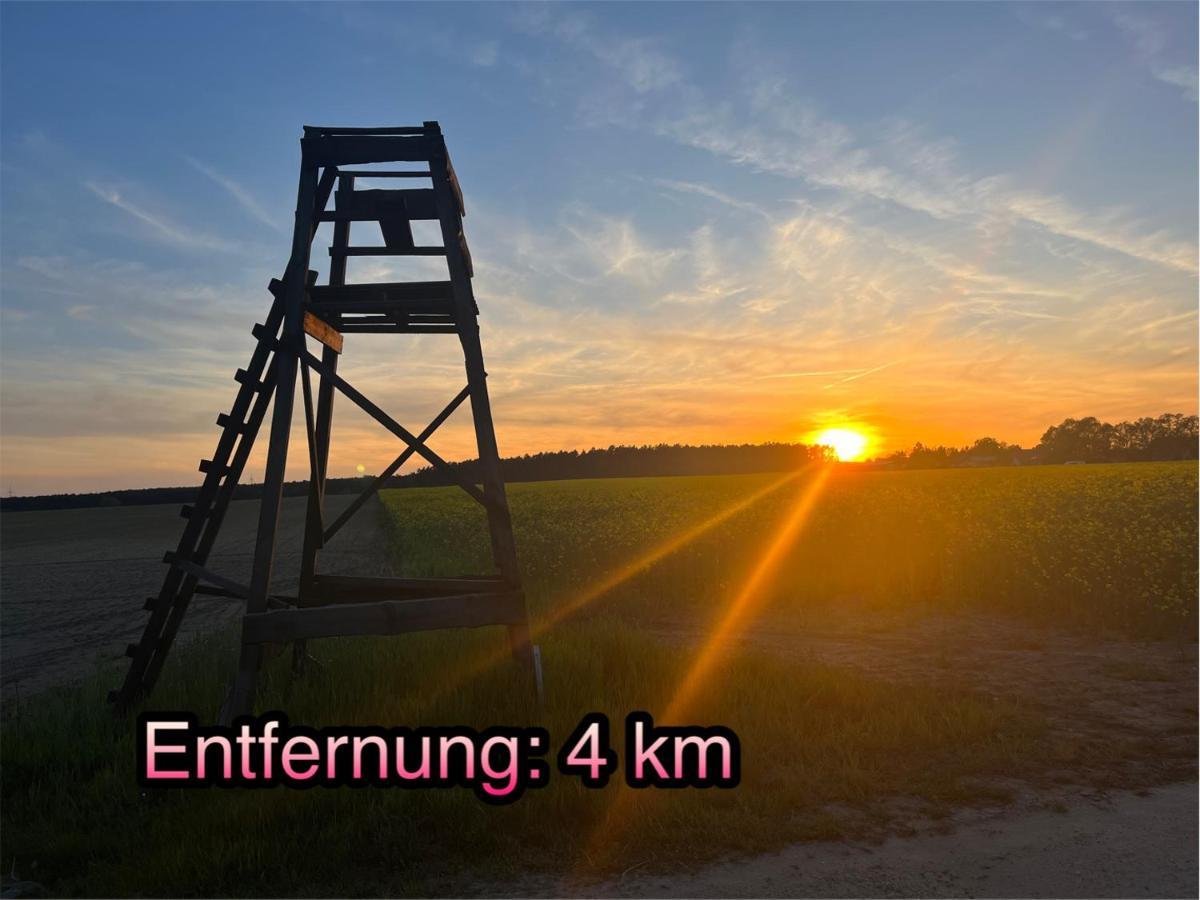 Wormis Apartment Heideblick Bei Luckau Exterior photo